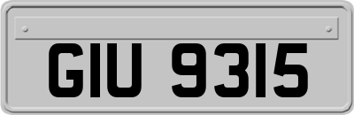 GIU9315