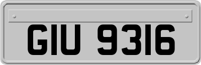 GIU9316