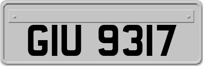 GIU9317