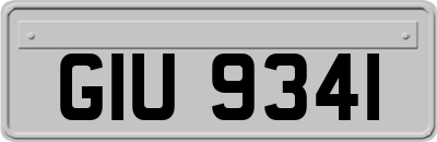 GIU9341