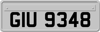 GIU9348