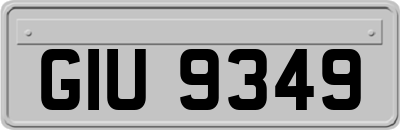 GIU9349