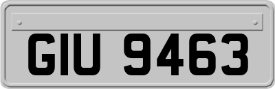 GIU9463