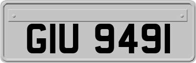 GIU9491