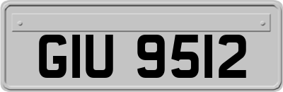 GIU9512