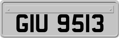 GIU9513