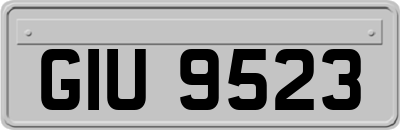 GIU9523