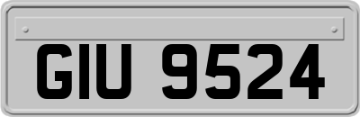 GIU9524