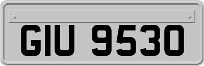 GIU9530