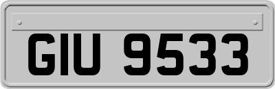 GIU9533