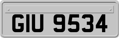 GIU9534