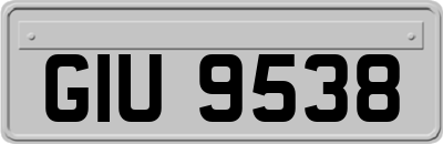 GIU9538