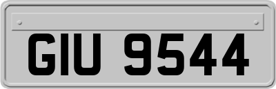 GIU9544