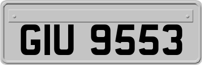 GIU9553