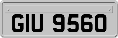 GIU9560