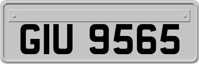 GIU9565