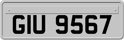 GIU9567