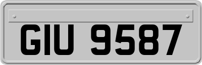 GIU9587