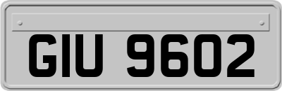 GIU9602