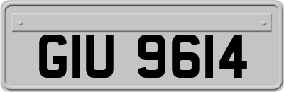 GIU9614
