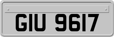 GIU9617