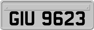 GIU9623