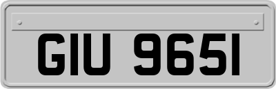 GIU9651
