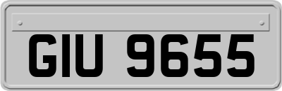GIU9655