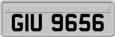 GIU9656