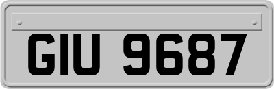 GIU9687