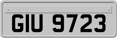 GIU9723