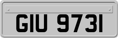 GIU9731