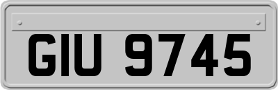 GIU9745