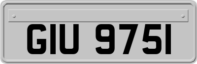GIU9751