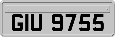 GIU9755