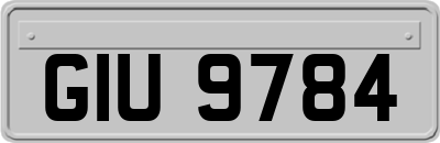 GIU9784