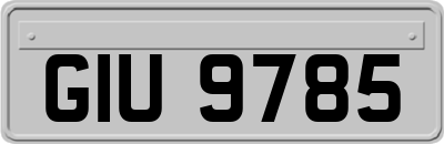 GIU9785