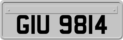 GIU9814