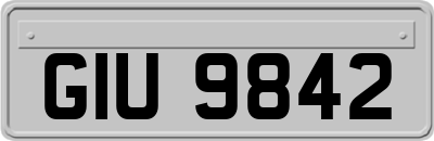 GIU9842