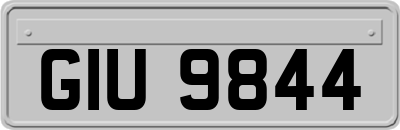 GIU9844