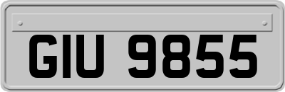 GIU9855