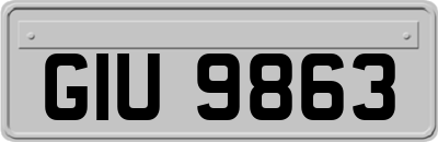 GIU9863