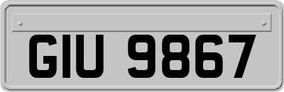 GIU9867