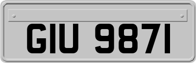 GIU9871