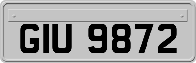 GIU9872