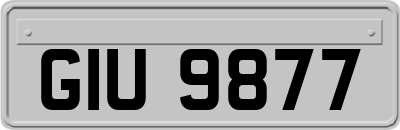 GIU9877