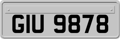 GIU9878