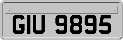 GIU9895