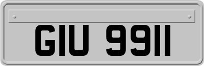 GIU9911