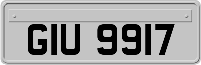 GIU9917